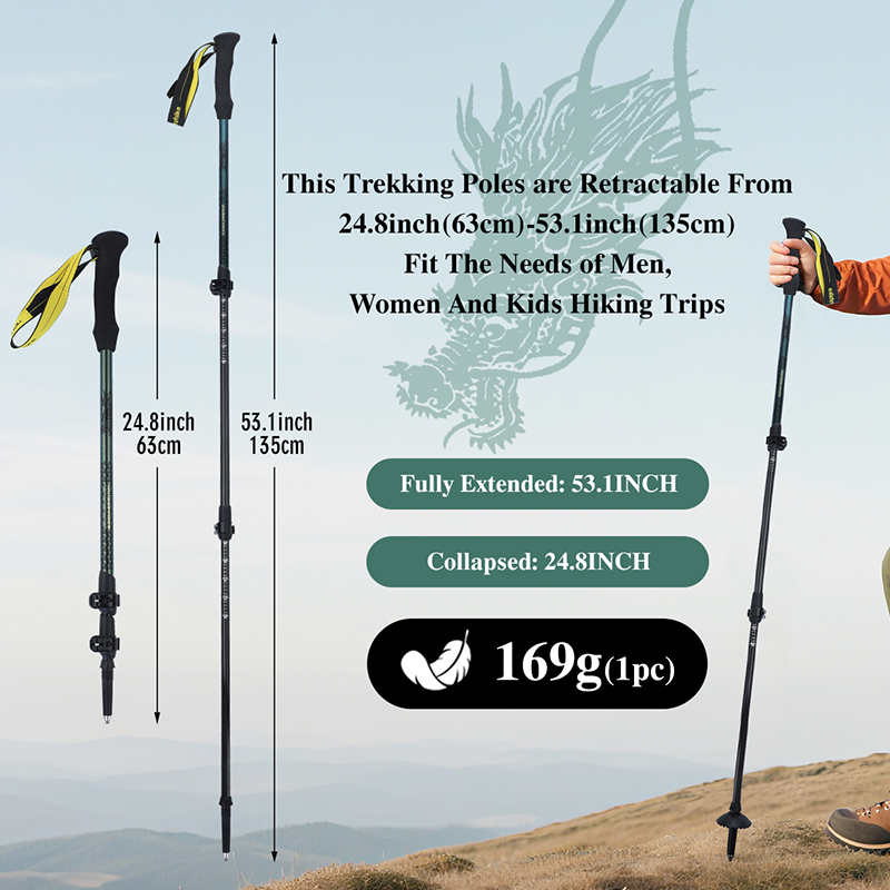 3K Carbon Fiber Hiking Stick,  - Trekking Pole Carbon review and price