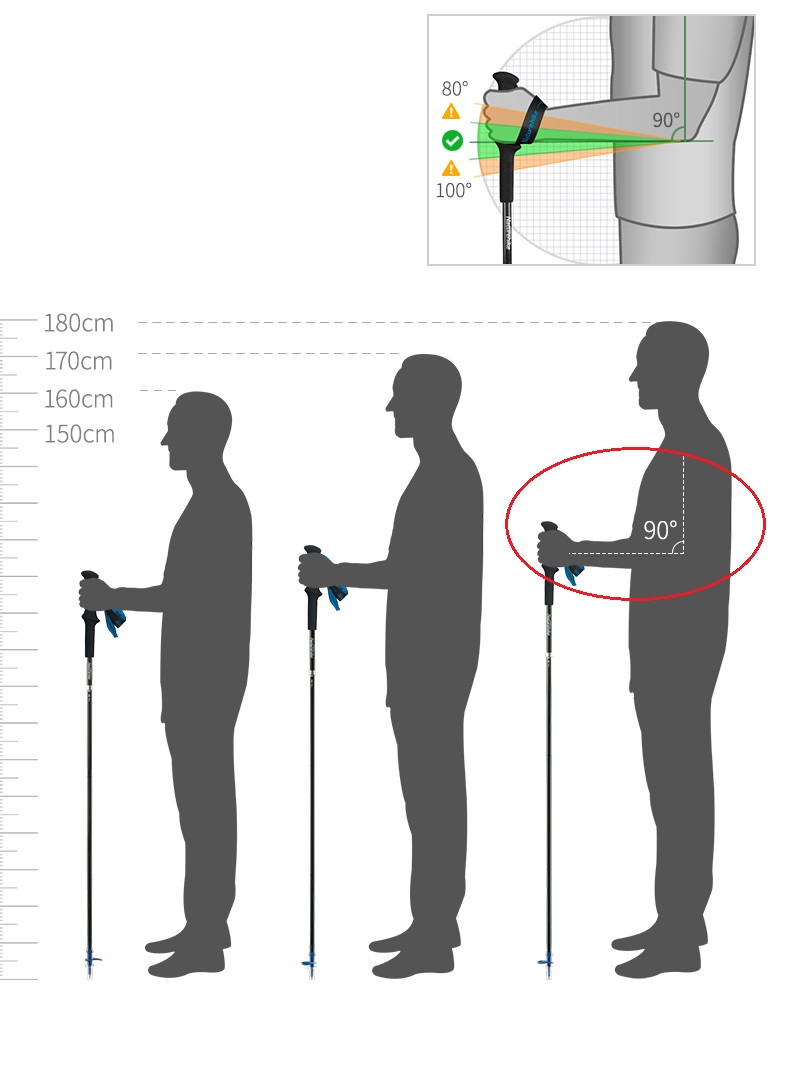 PIONEER Carbon Fiber Trekking  - Trekking Pole Carbon review and price