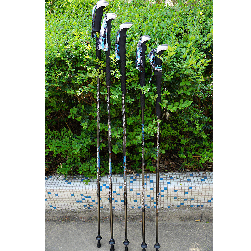 PIONEER Carbon Fiber Trekking  - Trekking Pole Carbon review and price